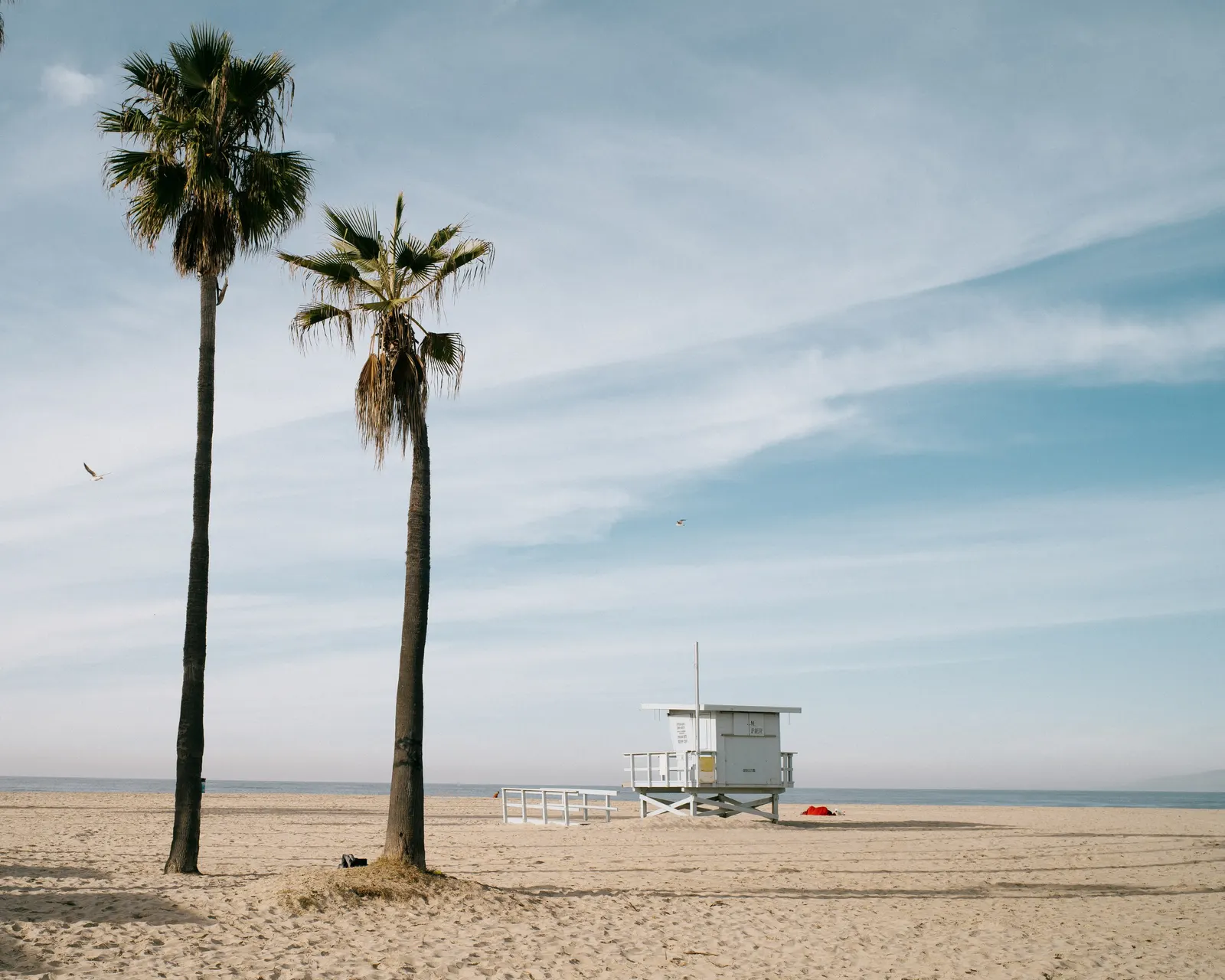 Palm trees and a lifeguard tower on a beach — a moment of rest.