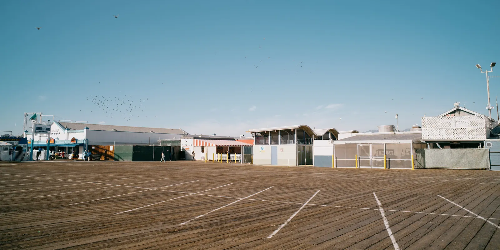 An empty boardwalk and birds taking flight at dawn.