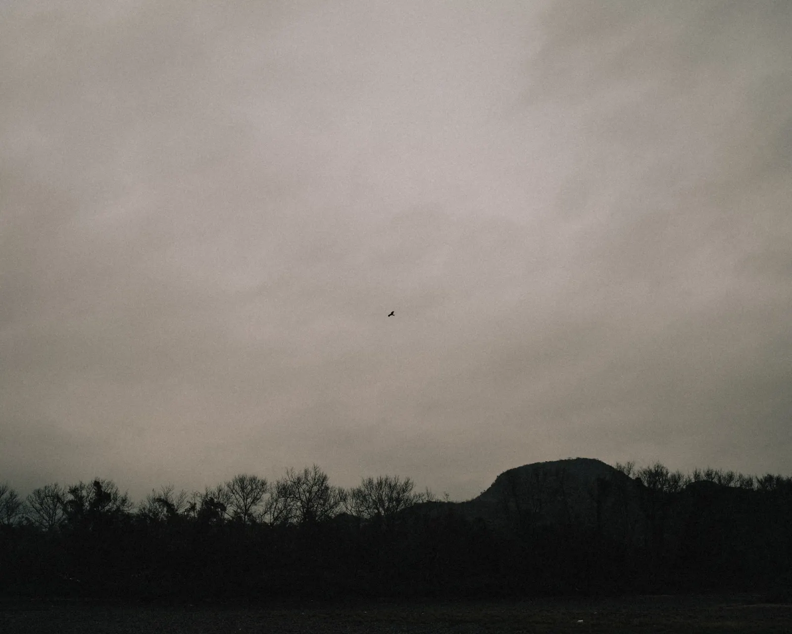 A hill rises alone above a quiet river, the air still and heavy.