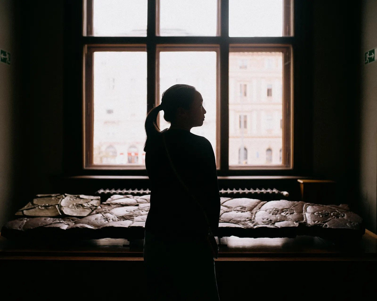A figure at the tall window, against the light.