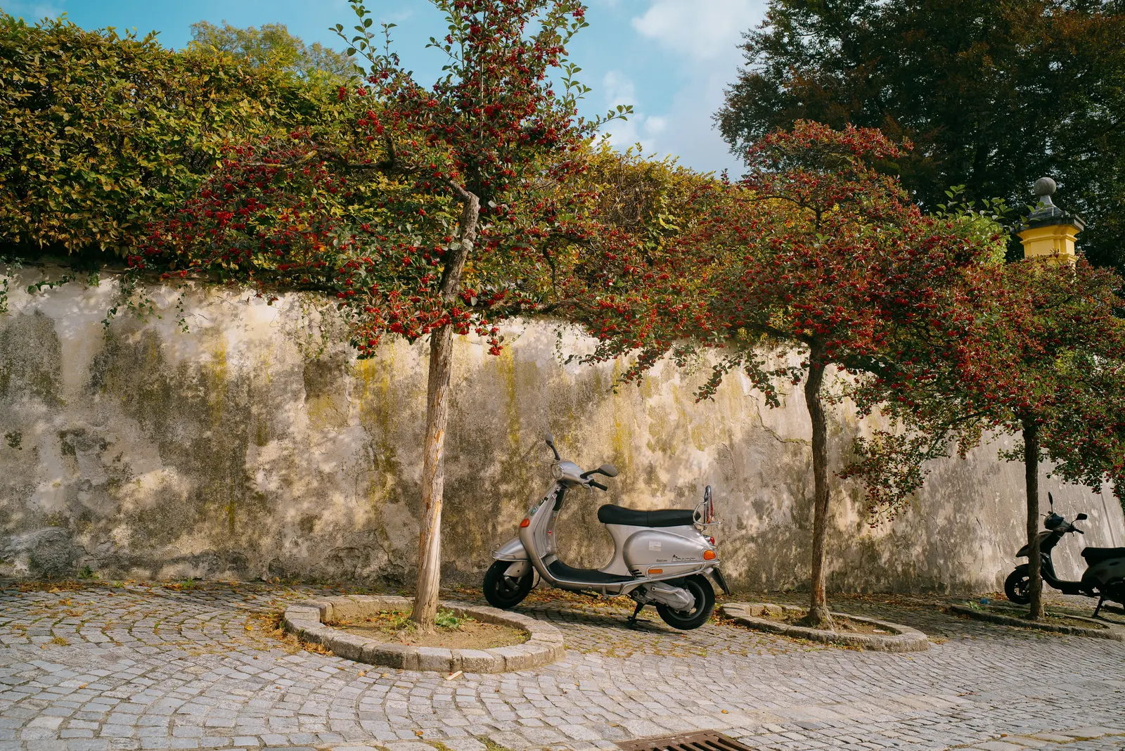 A scooter under the turning trees.