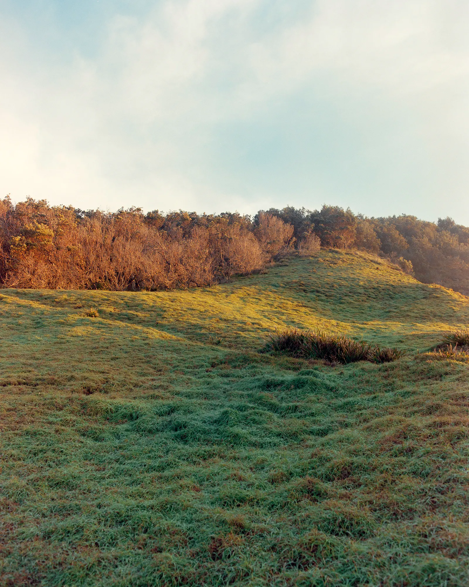 Open hills under a soft morning sky.