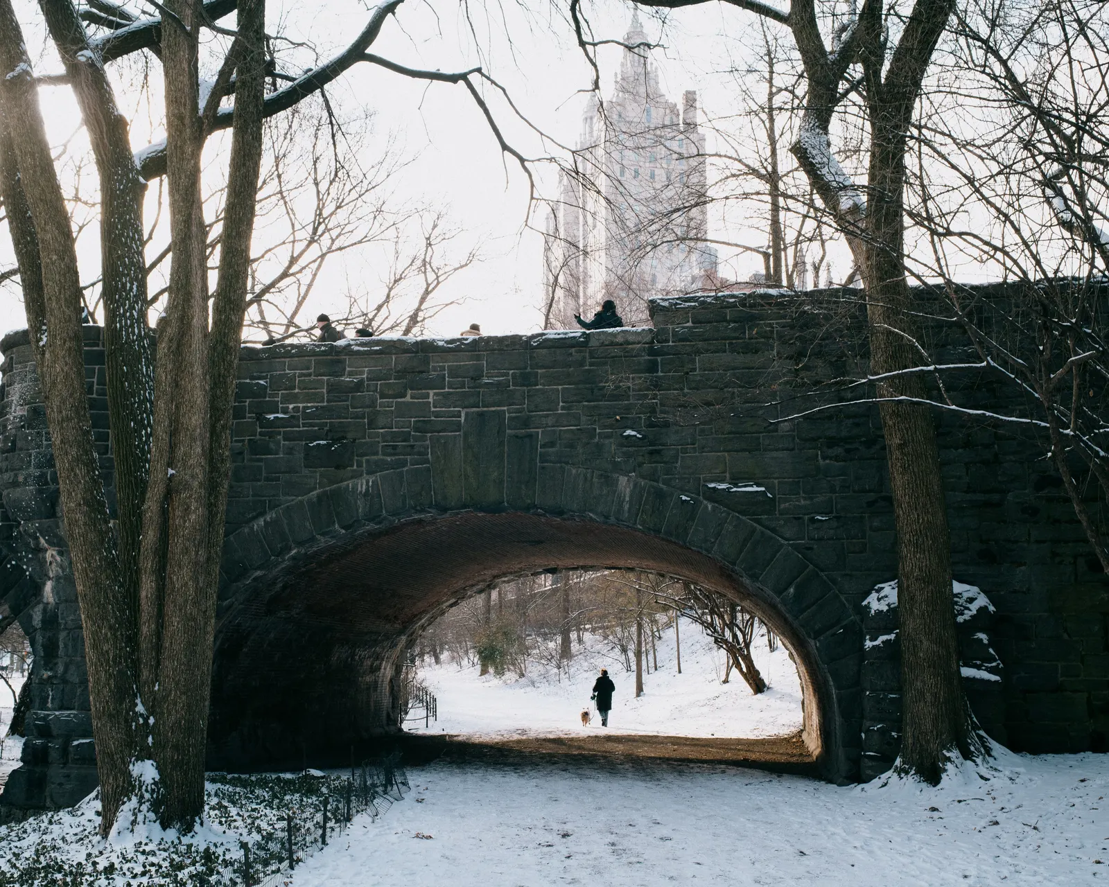 Ice forming under the bridge.
