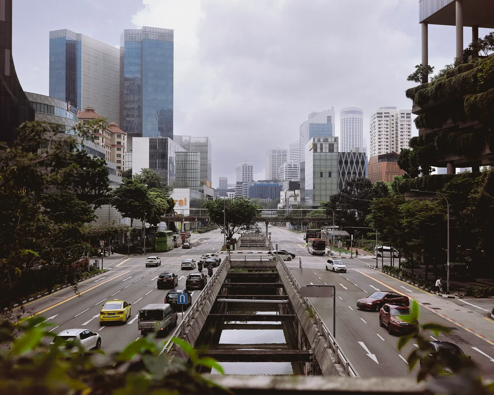The skyline rises above the green — Singapore's towers and trees.